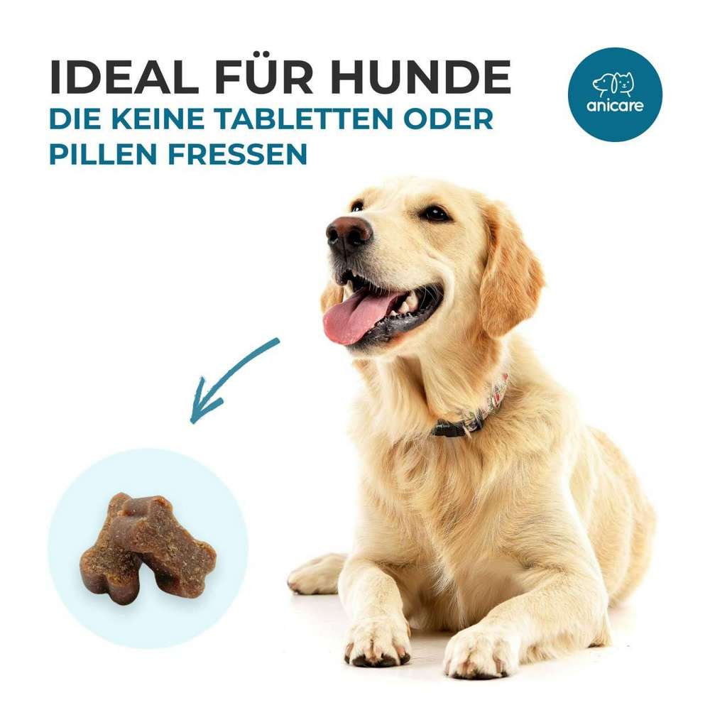 Premium Joint – Unterstützung der Gelenkfunktion Hunden!